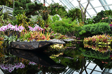 Image showing Cloud Forest at Gardens by the Bay in Singapore