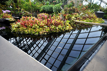 Image showing Cloud Forest at Gardens by the Bay in Singapore