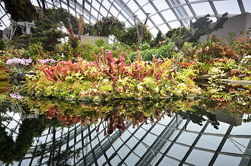 Image showing Cloud Forest at Gardens by the Bay in Singapore