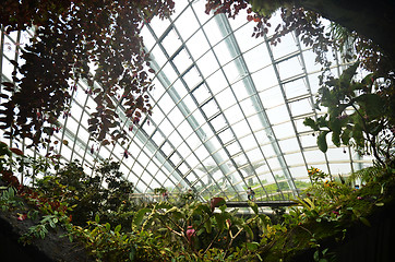 Image showing Cloud Forest at Gardens by the Bay in Singapore