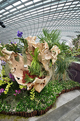 Image showing Flower Dome at Gardens by the Bay in Singapore