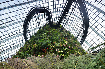 Image showing Cloud Forest at Gardens by the Bay