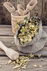 Image showing harvest hop cones cut