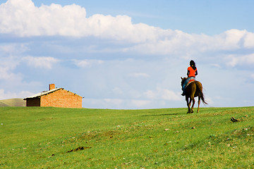 Image showing Girl Ridding Horse