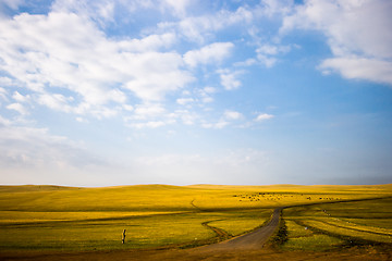 Image showing Inner Mongolia Grassland