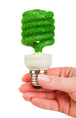 Image showing Concept Eco light bulb