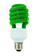 Image showing Concept Eco light bulb