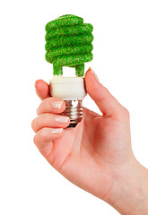 Image showing Concept Eco light bulb