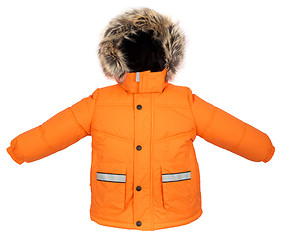 Image showing Warm jacket isolated