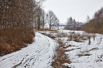 Image showing Winter Landscape