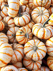 Image showing Sweet Dumpling squash at the market