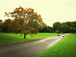 Image showing Rainy day in early autumn