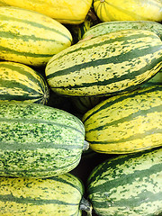 Image showing Green Delicata squash