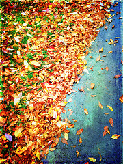 Image showing Colorful autumn leaves background