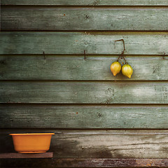 Image showing tomatoes hanging on a wooden wall 