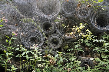 Image showing rolled fence