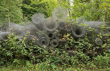 Image showing rolled fence