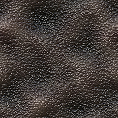 Image showing Snail skin