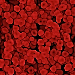 Image showing Blood cells