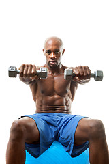 Image showing Muscle Man Holding Dumbells