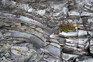 Image showing Slate at the Norwegian Coast