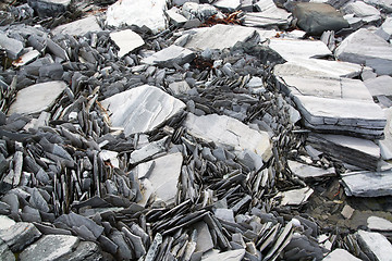 Image showing Slate at the Norwegian Coast