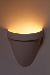 Image showing Lamp in a pots