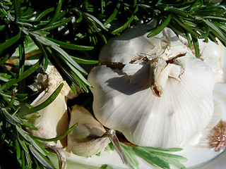 Image showing rosemary + garlic