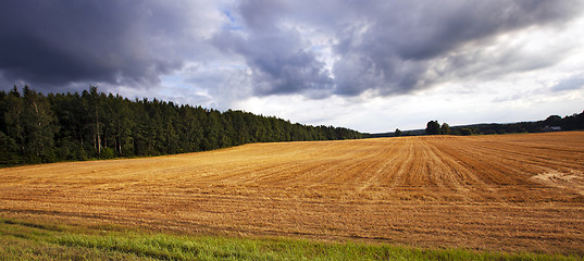 Image showing agriculture  