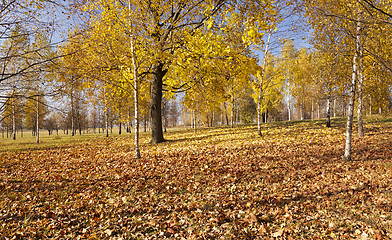 Image showing autumn park  