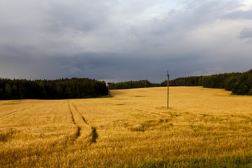 Image showing cloudy weather  