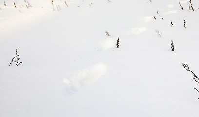 Image showing traces on snow  