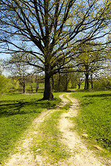 Image showing rural road  