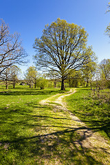 Image showing rural road  