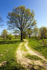 Image showing rural road  