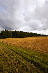 Image showing cloudy weather  