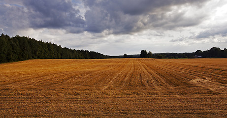 Image showing agriculture  