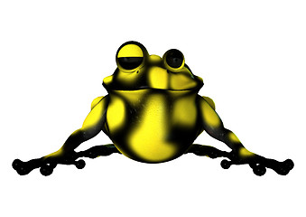 Image showing Yellow Frog
