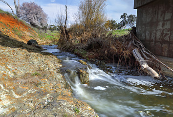 Image showing Bubbling flows at Limestone Creek Millamolong