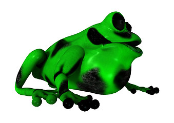 Image showing Green Frog