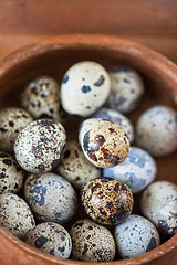 Image showing Fresh eggs 