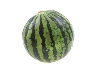 Image showing green melon isolated