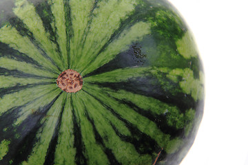 Image showing green melon isolated