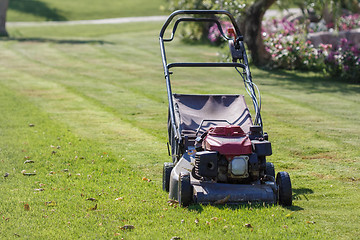 Image showing Modern gasoline lawn mower