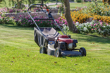 Image showing Modern gasoline lawn mower