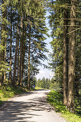 Image showing walking path Blomberg