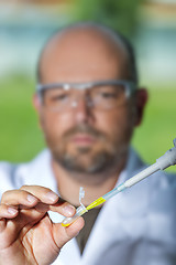 Image showing Chemist with yellow liquid