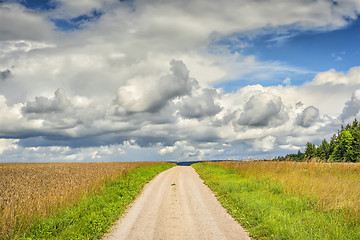 Image showing Path in landscape Franconia