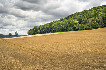 Image showing Wheatfield in Franconia Germany