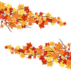 Image showing Autumn  Frame